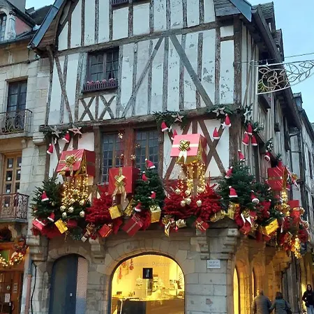 Le Jardin Des Ecureuils